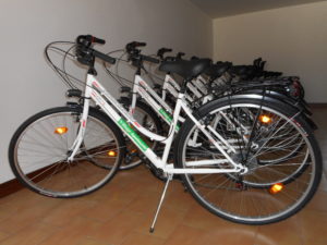 DSCN0200